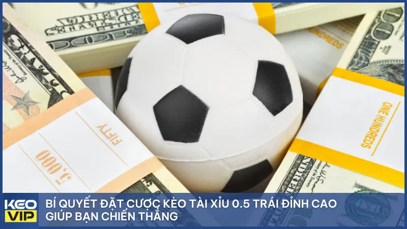 Bí quyết đặt cược kèo tài xỉu 0.5 trái đỉnh cao giúp bạn chiến thắng