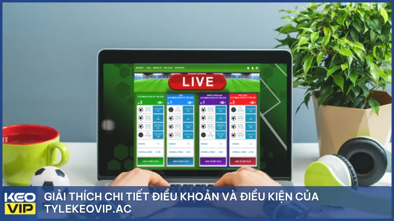 Giải thích chi tiết điều khoản và điều kiện của Tylekeovip.ac
