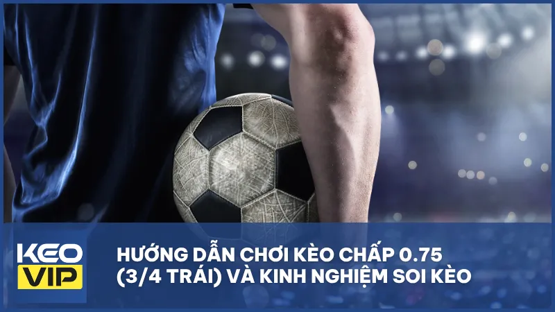 Kèo 0.75 (3/4 trái): Kinh nghiệm soi kèo chính xác
