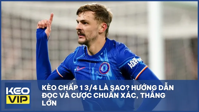 Kèo chấp 1 3/4 (1.75 trái) là gì? Cách đọc, tính tiền và mẹo cược như chuyên gia