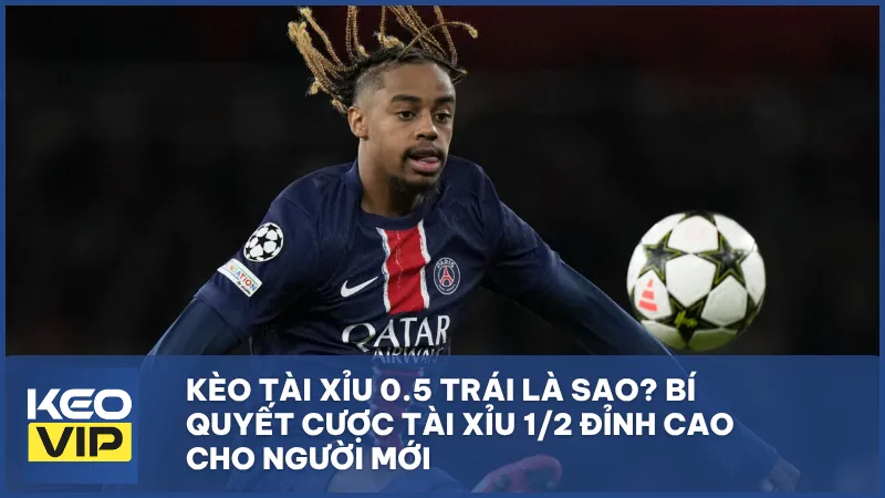 Kèo tài xỉu 0.5 trái là sao? Bí quyết cược tài xỉu 1/2 đỉnh cao cho người mới