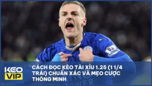 Kèo tài xỉu 1.25 (1 1/4 trái)