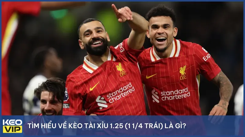 Tìm hiểu về kèo tài xỉu 1.25 (1 1/4 trái) là gì?