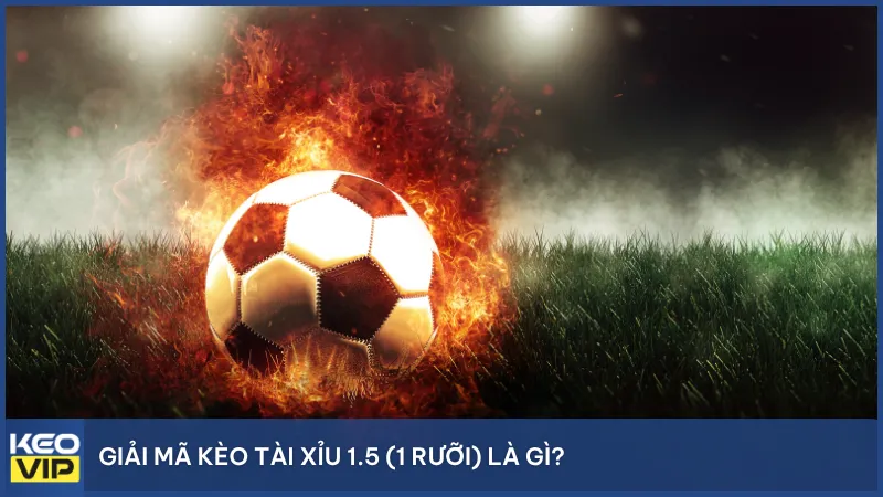 Giải mã kèo tài xỉu 1.5 (1 rưỡi) là gì?