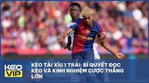 Kèo tài xỉu 1 trái