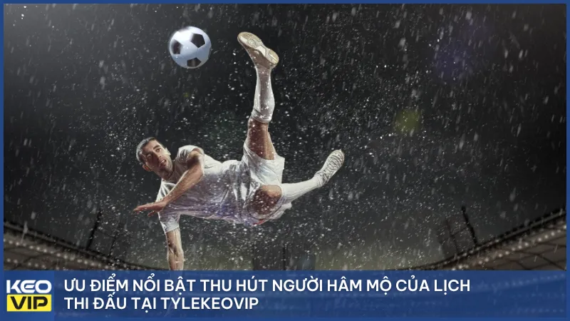 Ưu điểm nổi bật thu hút người hâm mộ của LTD tại Tylekeovip
