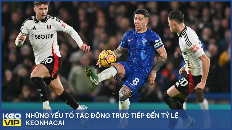 Những yếu tố tác động trực tiếp đến tỷ lệ keonhacai